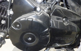 HONDA ｸﾞﾛﾑ 2019 JC61