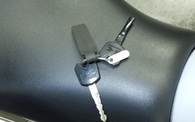 KAWASAKI NINJA 250 2022 EX250L