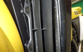 SUZUKI RMX250 S Gen.2 SJ14A