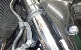 YAMAHA FZ1 FAZER 2013 RN21J