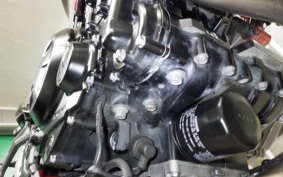 KAWASAKI Z650 A 2024 ER650S