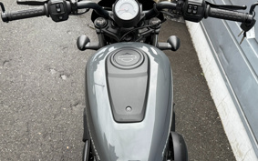 HARLEY  HARLEY RH975 NIGHT  STAR  2023 ZH1