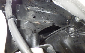 HONDA C110 SUPER CUB