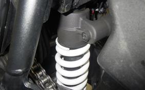 TRIUMPH TIGER 900 RALLY PRO 2022