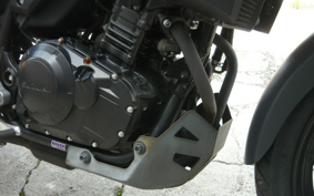 SUZUKI STROM 250 DS11A