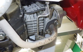 HONDA C110 SUPER CUB