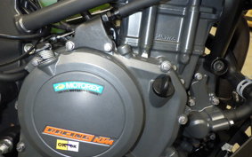 KTM 250 ADVENTURE