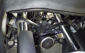 KAWASAKI NINJA 250 EX250L