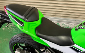 KAWASAKI NINJA 250 EX250L