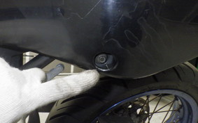 KAWASAKI KLX250D TRACKER 2007 LX250E