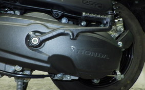 HONDA TACT Basket 2019 AF79