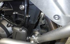 TRIUMPH TIGER 900 RALLY PRO 2022