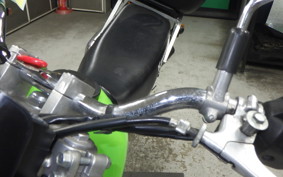 KAWASAKI SUPER SHERPA 2020 KL250G