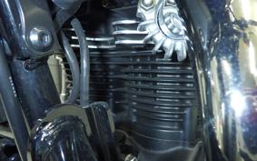 KAWASAKI W800 CAFE 2021 EJ800B