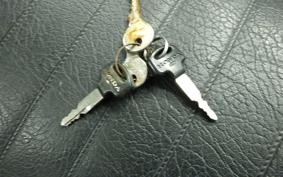 HONDA CB250 T 2024 CB250T