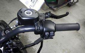 HARLEY XL883N 2021