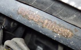 HONDA DIO Gen.6 AF68