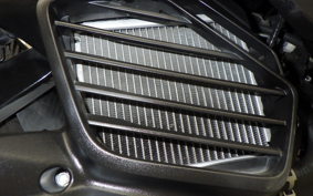 YAMAHA CYGNUS Griffus SEJ4J
