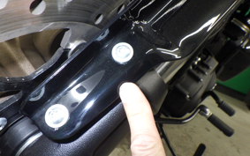 HARLEY FXLRST1920 2024