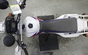 YAMAHA TT250R RAID 4WA