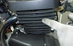 OTHER +DAYTONA125 2024
