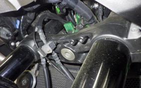 KAWASAKI ZH2 2020 ZRT00K