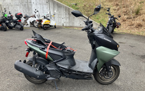 YAMAHA FORCE ABS SG79J
