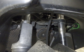 KAWASAKI NINJA 250R 2022 EX250K