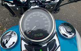 HARLEY FLSTC 2016 BWV