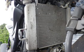 SUZUKI GSX-R125 2006 DL33B
