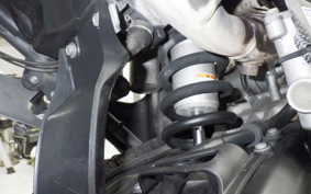 YAMAHA WR250X 2021 DG15J