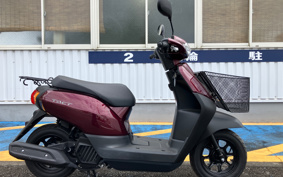 HONDA  TACT  BASIC  AF79