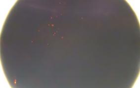 HARLEY FLSTC 1580 2012