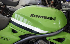 KAWASAKI BALIUS 250 ZR250A