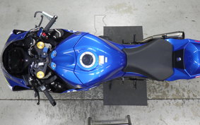 SUZUKI GSX-R1000R A 2019 DM11G