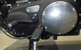HARLEY XL883N 2017