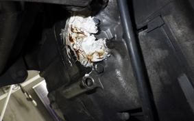 HONDA FORESIGHT SE MF04