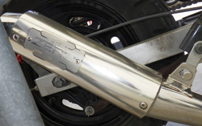 HONDA APE 50 2010 AC16