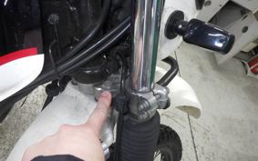 KAWASAKI SUPER SHERPA 2020 KL250G