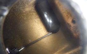 OTHER +UNREGISTERED MODEL by BDS TRIKE250 GW