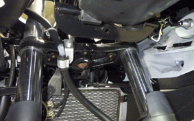 SUZUKI GSX250 R
