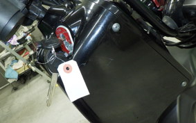 HONDA ZOOMER 2025 AF58