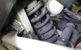 SUZUKI GOOSE 250 NJ46A