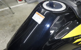 SUZUKI V-STROM 250