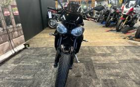 TRIUMPH STREET TRIPLE R LOW 2019 HDA434
