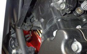 HONDA CBR250R A 2022 MC41