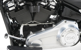 HARLEY FLFBS 2017 YGK
