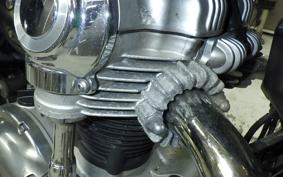 KAWASAKI W800 2021 EJ800B