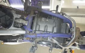 YAMAHA TT250R 2024 4GY