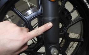 OTHER +ENFIELD HUNTER350 2025